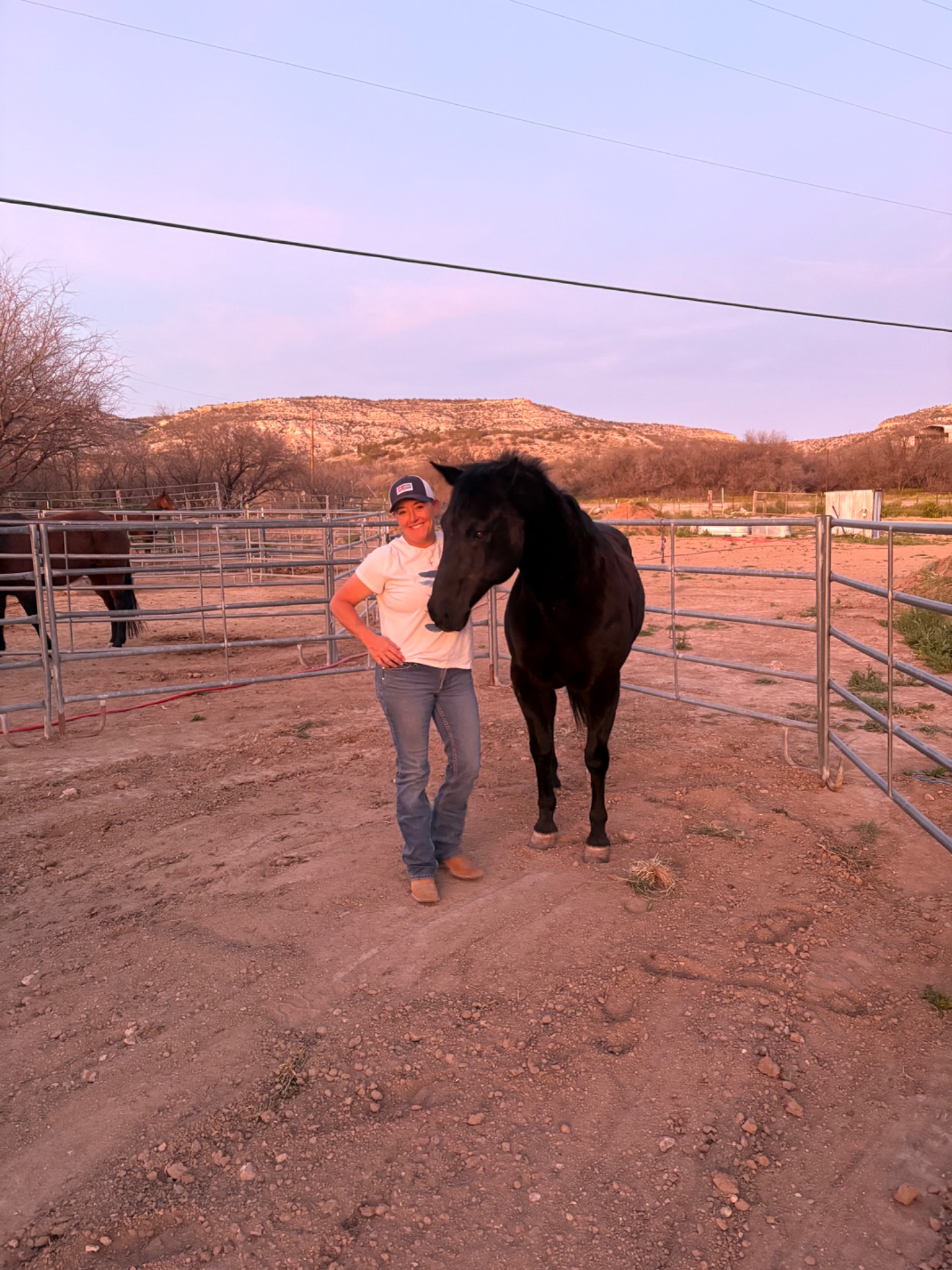 Chelise standing beside a black horse at sunset